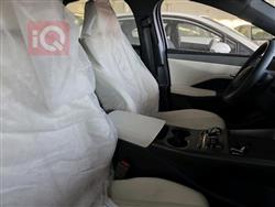 بي واي دي Qin Plus